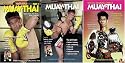 Muay Thai Master Saekson - 4 DVD Set