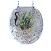 Trimmer Clear Sea Horse Polyresin Seat Clear Sea Horse