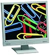 Eizo L767 48,3 cm (19 Zoll) TFT-Monitor weiss/beige mit integrierten Lautsprechern (DVI)