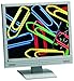 Eizo L767 19-Zoll TFT-Monitor weiss/beige mit integrierten Lautsprechern (DVI)