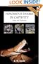 Venomous Snakes in Captivity: Safety and Husbandry