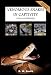 Venomous Snakes in Captivity: Safety and Husbandry
