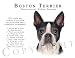 terrier17 - Boston Terrier Human Trainer Mouse Pad Dog Mousepad
