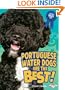 Portuguese Water Dogs Are the Best! (Best Dogs Ever)