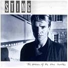 The Dream Of The Blue Turtles