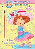 A Happy Splash of Color [With Paint Brush] (Strawberry Shortcake)