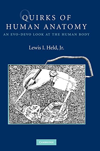 Quirks of Human Anatomy: An Evo-Devo Look at the Human Body