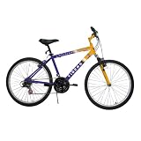 LSU Mountain Bike - Official Team Colors (26)