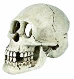 Skull, 15 cm