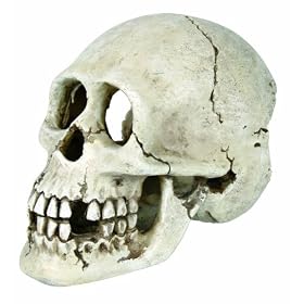 Skull, 15 cm