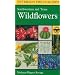 A Field Guide to Southwestern and Texas Wildflowers (Peterson Field Guides (R))