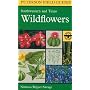 A Field Guide to Southwestern and Texas Wildflowers (Peterson Field Guides (R))