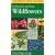 A Field Guide to Southwestern and Texas Wildflowers (Peterson Field Guide Series)