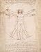 Drawing of Man, Art Poster by Leonardo da Vinci