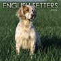 English Setters 2005 Wall Calendar