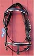 Australian halter bridle combination