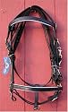 Australian halter bridle combination