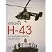 Kaman H-43: An Illustrated History (Schiffer Military/Aviation History)