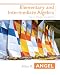 Elementary and Intermediate Algebra (2nd Edition) (Angel Hardback Series)