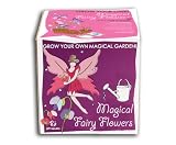 Sow And Grow Magical Fairy Flowers Outdoor Living