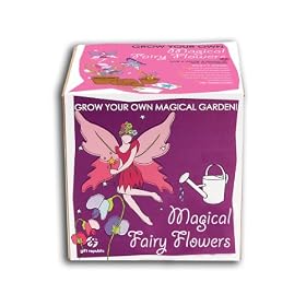 Sow And Grow Magical Fairy Flowers