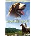 DISNEY FILMS de A � Z 2