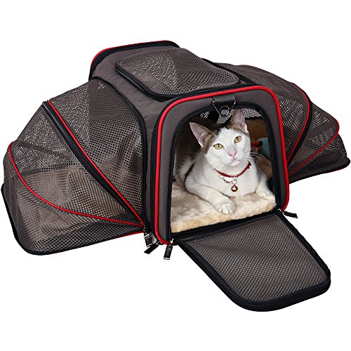 Softsided Cat Carrier