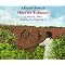 African American Picture Books