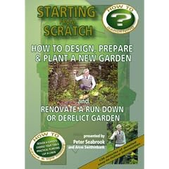 Starting From Scratch