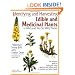 Identifying and Harvesting Edible and Medicinal Plants in Wild (and Not So Wild) Places