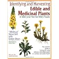 Identifying & Harvesting Edible And Medicinal