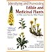 Identifying & Harvesting Edible And Medicinal