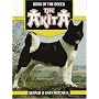 THE AKITA (Book of the Breed Series)
