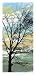 December Morning II - Alicia Ludwig Art Print Poster 14 x 29