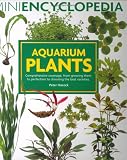 Mini Encyclopedia of Aquarium Plants (Mini Encyclopedia)