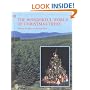 The Wonderful World of Christmas Trees
