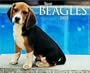 Just Beagles