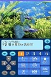 Kokoro ga Uruou Birei Aquarium DS: Tetra - Guppy - Angelfish [Japan Import]