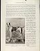 Antique Print Poodle Model French Mastif Painting Art