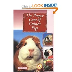 The Proper Care of Guinea Pigs