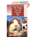 The Proper Care of Guinea Pigs