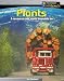 Plants: A Resource Our World Depends On (Managing Our Resources)