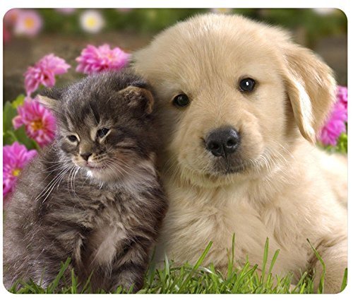 Animals Cat Kitten Dog Golden Retriever Puppy Mousepad,Custom Rectangular Mouse Pad
