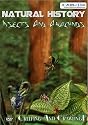 Natural History: Insects And Arachnids (2-DVD Set)