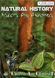 DVD Natural History - Insects And Arachnids, film DVD Natural History - Insects And Arachnids