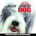 Big Dog