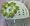 White Hat/Green Flower