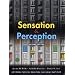 Sensation and Perception