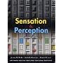 Sensation and Perception