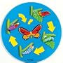 Lifecycle Butterfly Puzzle